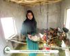아프간 여성 양계농장