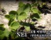 청와대 미디어 SNS 코너 2012년 7월 30일 게시물(콩박사소개)