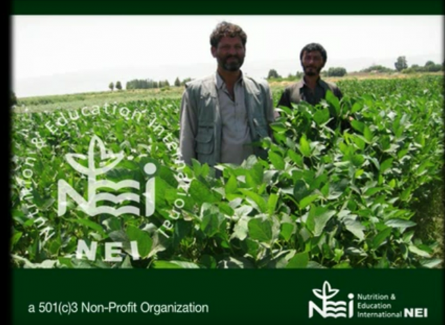 NEI Foundation (English) 